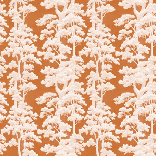Flame and Frost